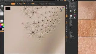 Create your own skin pores using Zbrush 2020 - Portrait Study  - Part 03