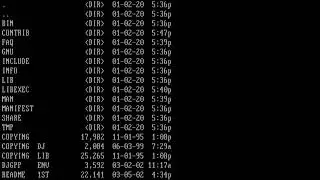 FreeDOS programming - Compiling with GCC