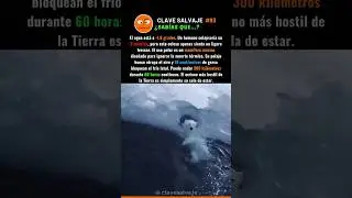 ¡La Ingeniería Térmica Del Oso Polar! 🥶 93% 