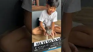 Kucing dimas main pianika #shorts