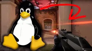 How to play video games on Linux