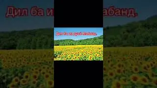 Дил ба ин дунё мабанд!
