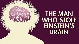 The Man Who Stole Einstein's Brain preview