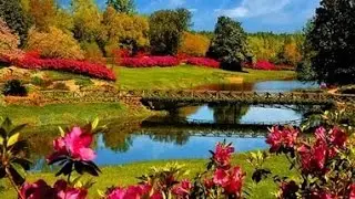 Amenities of nature  - красота природы