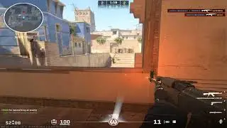 тушки х2