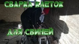 Начало сварки клеток для свиней