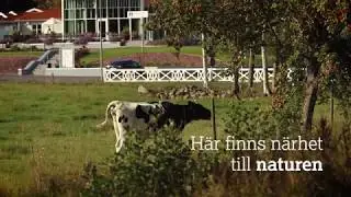 Bauergården - konferens