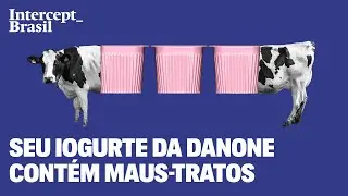 Fazenda fornecedora da Danone arranca chifres de bezerros sem anestesia e explora vacas doentes