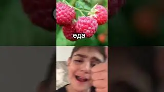 Лето 2