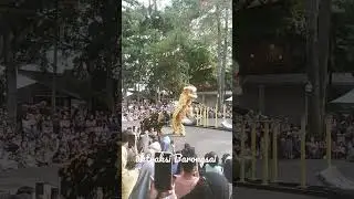 aktraksi Barongsai