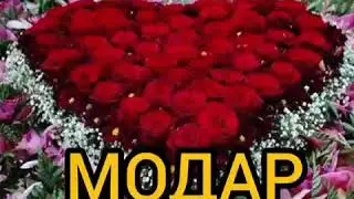 ҚОРИ МУҲАМАД БАШИР МУБАШИР (((( МОДАР ))))