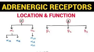 Autonomic Pharmacology - 13 | Adrenergic Receptors & their Distribution | EOMS