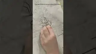 #вышиваю