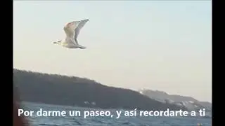Destino Edén - Maitane Zalbidea