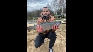 Ловля форели на платном водоеме Парус Север. Сезон 2022 весна
