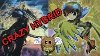 Insane Tri-brigade Lyrilusc Yugioh Deck Post Blazing Vortex- Yugidave