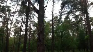 Видео загадка