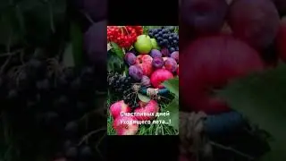 Август - время прощаться с летом!