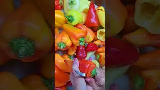 У меня большая проблема!!! I have a big problem!!!