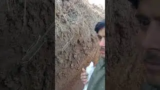 under ground Cable 
