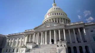 What is the Center for the Constitution and the Catholic Intellectual Tradition?