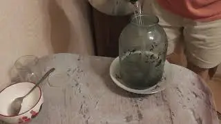 Как быстро приготовить напиток из чайного гриба