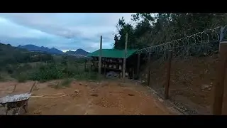 Iniciamos a construção do novo Meliponário! Acompanhe passo a passo conosco!
