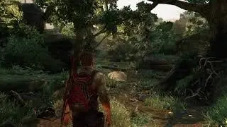 The Last of us