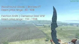 Best 6 CS2 Budget Knife & Gloves Combinations