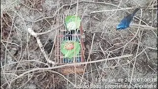 Pegou más soltou...