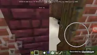 Находка домового в MINECRAFT