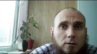 Половое созревание енотов