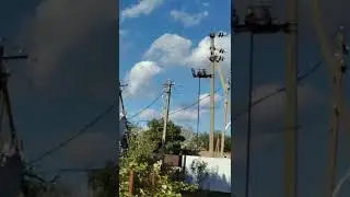25 сентября 2022 г.