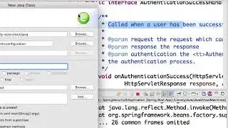SR20. Spring Security Custom Authentication Entry Point