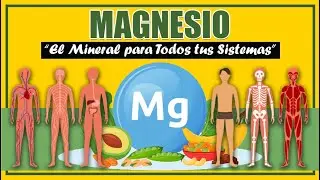 ✅ Magnesio, El Mineral Más Ignorado Pero El Más Importante (Beneficios) | SALUDABLEMENTE TV