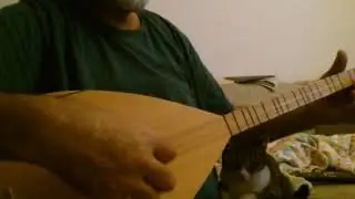 kedili türkü