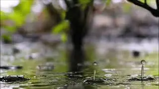 Владимир Кузьмин - Ливень