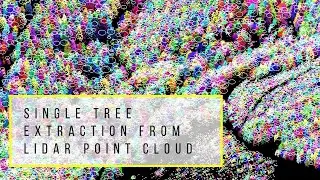 3D point Cloud analysis for Forest Inventory