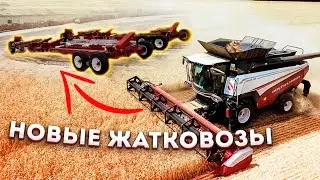 ТОРУМ 785. ВЫ ЭТОГО НЕ ЗНАЛИ!
