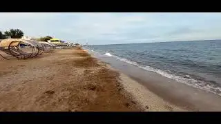 8 ноября 2022 г.