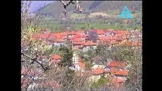 Наше Село - Радуил