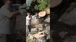 36 INCHES BURIED