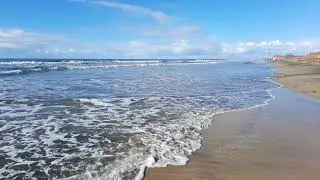 Gran Canaria  Maspalomas 2.21  Natur  no comentado ohne Kommentar no comment