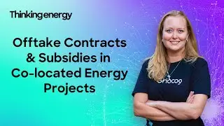Modelling Offtake Contracts and Subsidies in Co-located Energy Projects