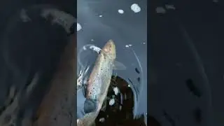 Как я покорял пулы на Кольском! 💦 