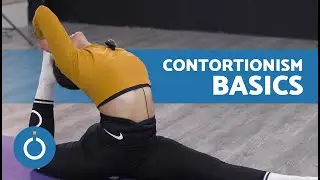 Beginner's CONTORTIONISM Tutorial  ✨ 3 Exercises to Increase Flexibility