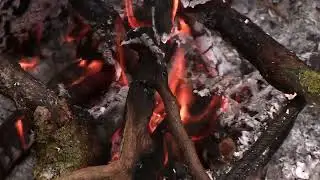 костёр в лесу - hoguera en el bosque - bonfire in the forest