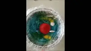 costruiamo una cellula