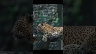 удивительные банкноты