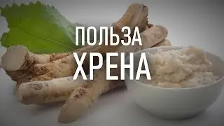Усилитель потенции. Растительная виагра. Борец с целлюлитом. Польза хрена для мужчин и женщин.